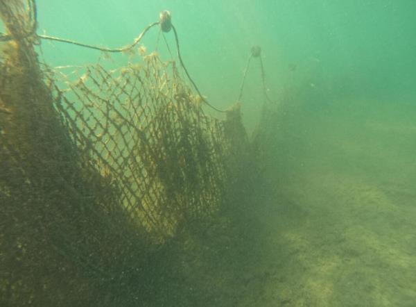 在Bal？kesir拆除了5万平方米的鬼网