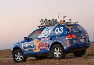 大龟王：生态的守护者，人类的良师益友