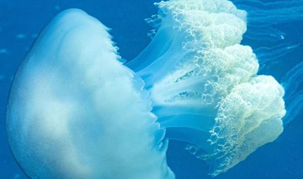 1分钟学会“钱塘十三水开挂真假”开挂(透视)辅助教程_2