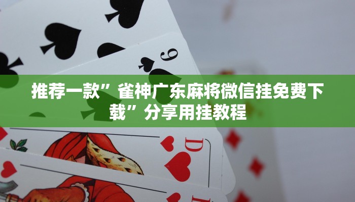 辅助神器“网趣沈阳麻将可以开挂吗”分享用挂教程