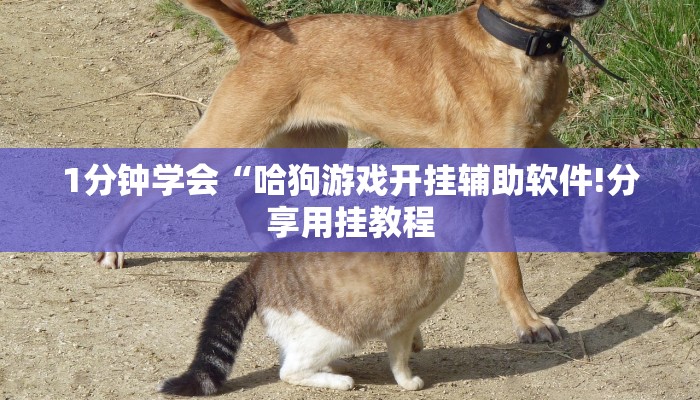 玩家攻略“新众亿大房卡”房卡详细使用教程