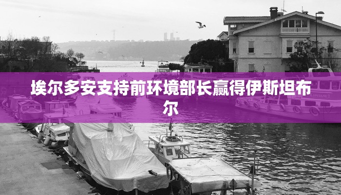 1分钟学会“大懒人娱乐斗十四有挂吗”其实确实有挂_2