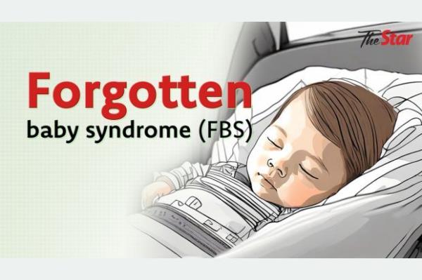 兰赞文化艺术协会主办的“文化艺术博览会”Torreón