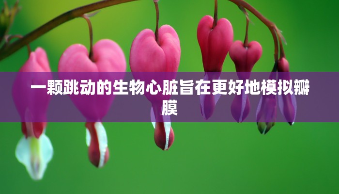 玩家攻略“微信群炸金花链接”详细房卡教程