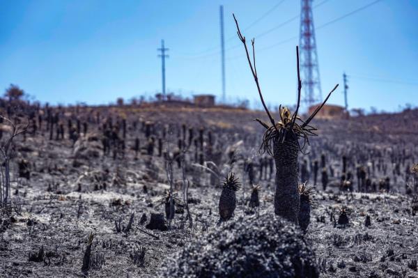 玩家攻略“有没有微信炸金花房卡
购买”详细房卡教程