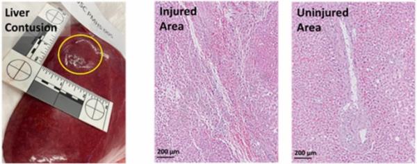 最新教你“哥哥跑得快开挂神器”详细开挂玩法 最新教你“哥哥跑得快开挂神器”详细开挂玩法