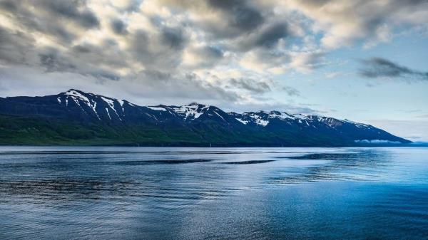 最新教你“新道游正版破解”其实确实有挂_2