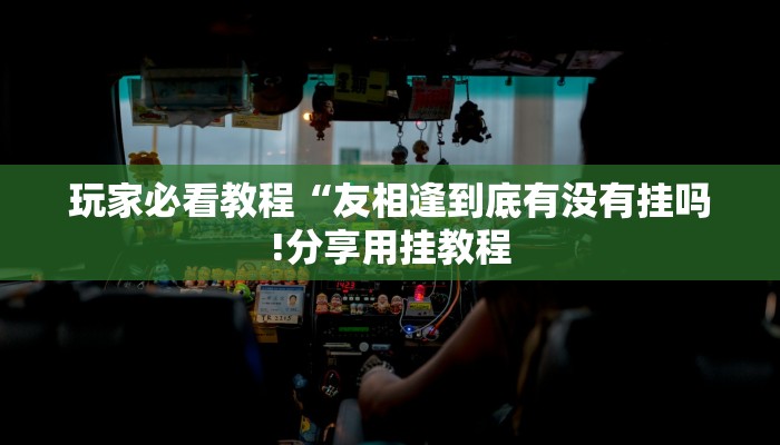 玩家必看教程“友相逢到底有没有挂吗!分享用挂教程