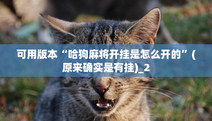 可用版本“哈狗麻将开挂是怎么开的”(原来确实是有挂)_2