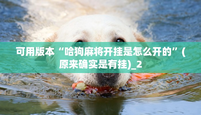 可用版本“哈狗麻将开挂是怎么开的”(原来确实是有挂)_2 可用版本“哈狗麻将开挂是怎么开的”(原来确实是有挂)_2