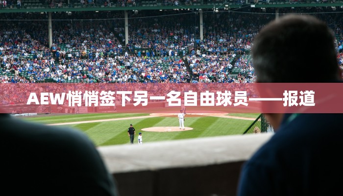 AEW悄悄签下另一名自由球员——报道