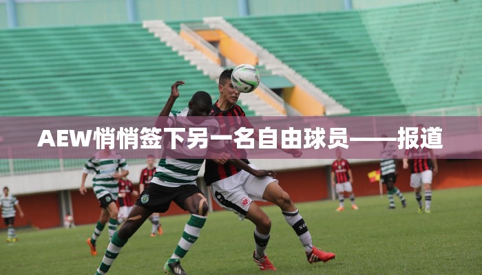 AEW悄悄签下另一名自由球员——报道