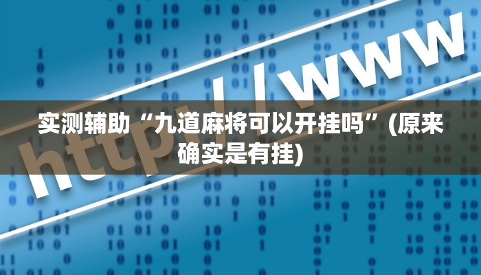实测辅助“九道麻将可以开挂吗”(原来确实是有挂)