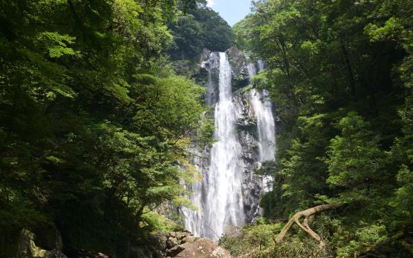 不要错过在大津山徒步旅行，欣赏30多个瀑布和稀有植物