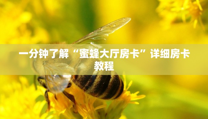 房卡一分钟“微信新大圣链接大厅房卡
”详细房卡教程