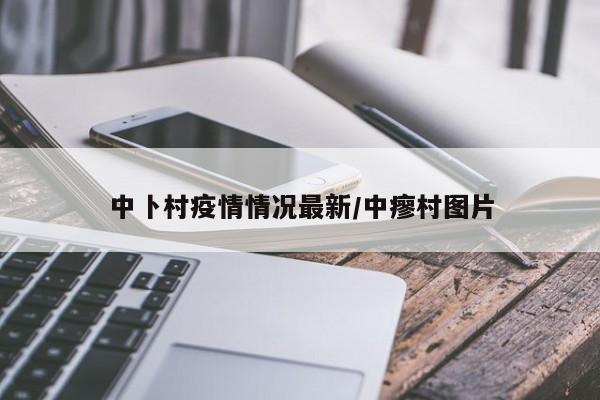 中卜村疫情情况最新/中瘳村图片